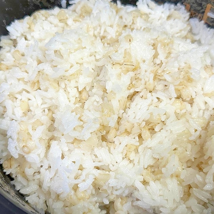 計量カップがなくても!無洗米で少しカタめの麦ごはん